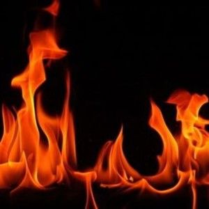 Meet your Posher, Emilee